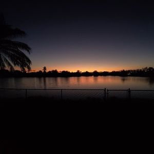 Meet your Posher, Rose